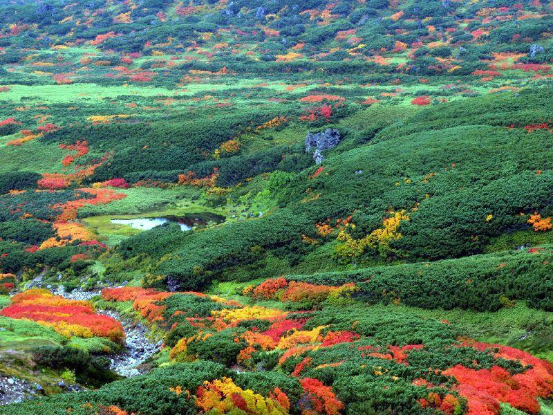 Asahidake Yumoto Yukomanso Higashikawa Extérieur photo